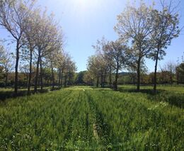 Pozvánka na den otevřených dveří na Ekofarmě Probio - Agrolesnictví na erozně ohrožených plochách 