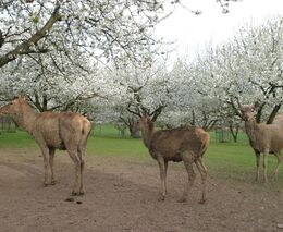 Agrolesnictví - příležitost pro krajinu a zemědělství - nová výstava na střeše muzea