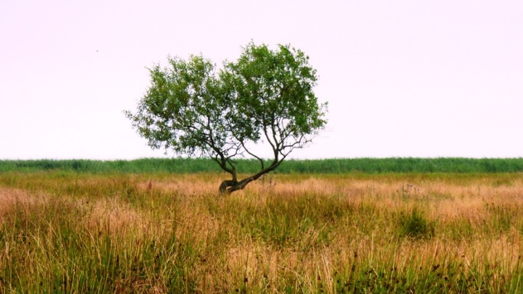 Studie: Firmy ignorující opatření stran klimatu mohou ztratit čtvrtinu hodnoty