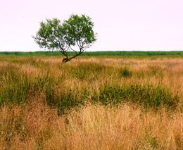 Evropský den chráněných území: čas na změnu
