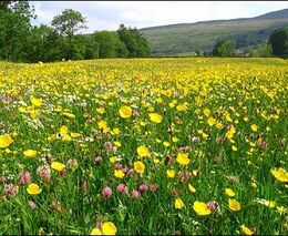 Nevhodná struktura plodin se prohlubuje – co s tím?