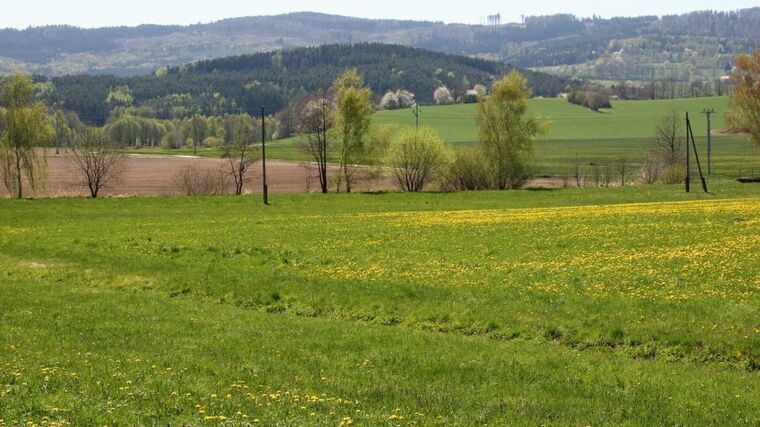 V Česku patří jednomu vlastníkovi obrovské množství půdy, nepečuje o ni ale jako dobrý hospodář