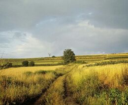 EU zavede přírodní kredity pro podporu biodiverzity a ochranu přírody