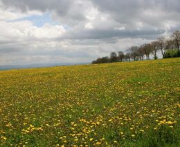 Jan Roubal, průkopník ochrany slovenské a české přírody