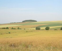 Suchá krajina suché srdce značí?