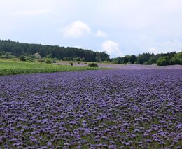 Pozvánka na 3. ročník Velké konference regenerativního zemědělství