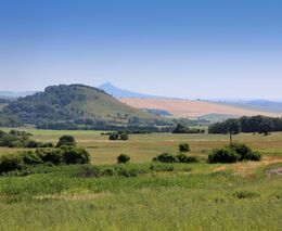  Zelený kruh: Které strany chtějí lepší ochranu přírody a které mlčí?