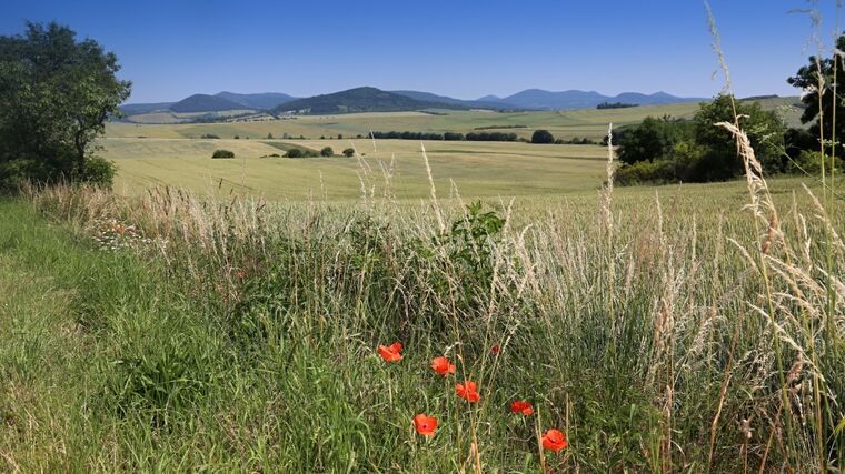 Boršovské louky u Kyjova se otevírají veřejnosti