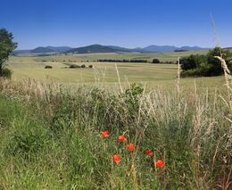 Boršovské louky u Kyjova se otevírají veřejnosti