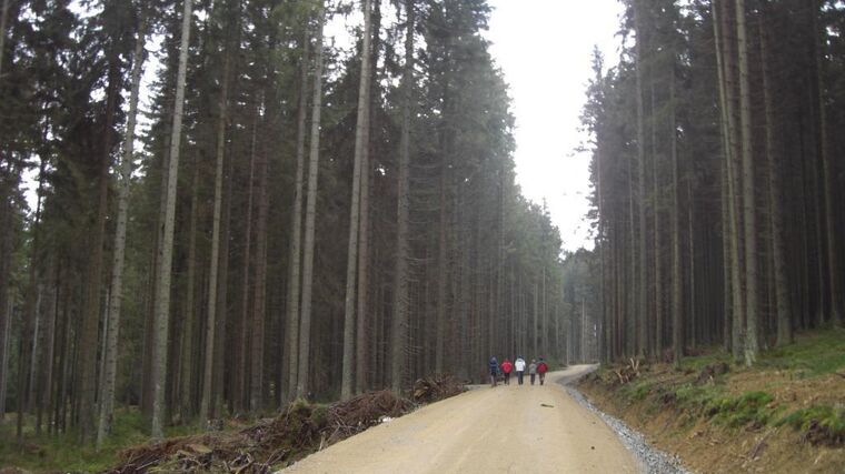 Mze bude kompenzovat škody po povodních na lesních cestách, zahájilo šetření