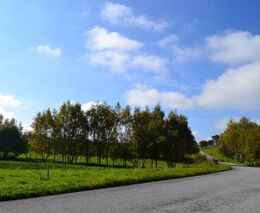 Týden podle PH č. 13 - 2021 (pH týdne: 5)