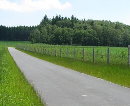 Proč se vůbec polní cesty asfaltují? Vysvětluje Jaroslava Kosejková ze Státního pozemkového úřadu