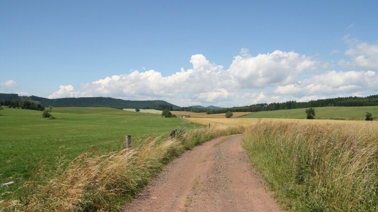Jak napravit krajinu roztříštěnou vlastnickými vztahy? Rozhovor s projektantkou pozemkových úprav
