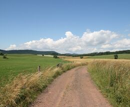 Všeruby u hranic se SRN obnovují díky penězům EU a státu historické polní cesty