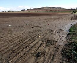 Havel: Eroze ohrožuje většinu půdy v Česku. Nová opatření jsou v zájmu životního prostředí