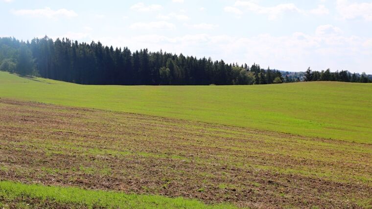 ČSÚ: Výměra zemědělské půdy klesá, přibývá ale zemědělců s rostlinnou výrobou