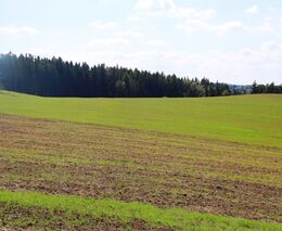 ČSÚ: Výměra zemědělské půdy klesá, přibývá ale zemědělců s rostlinnou výrobou