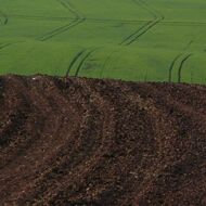 Ministr Šebestyán: SZP musí být flexibilní. Je to nutné pro zajištění hlavní funkce zemědělství