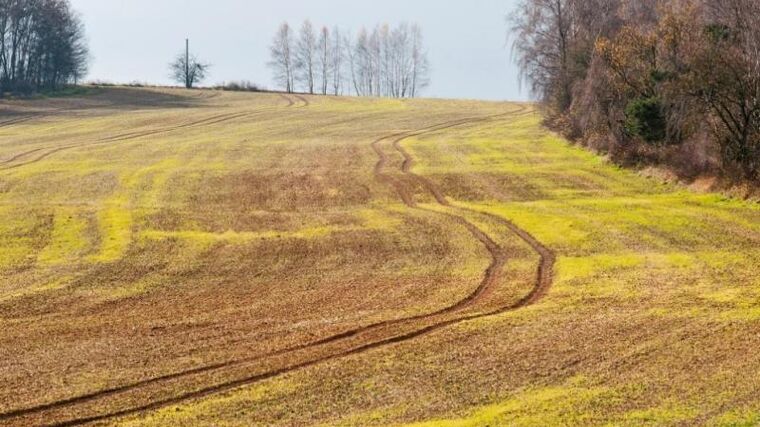 ČSÚ: Hodnota zemědělské produkce letos poroste pomaleji než náklady firem