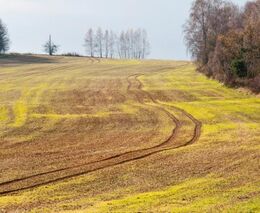 V zemědělství chybí v ČR 10.000 lidí, odborné školy se orientují na technologie