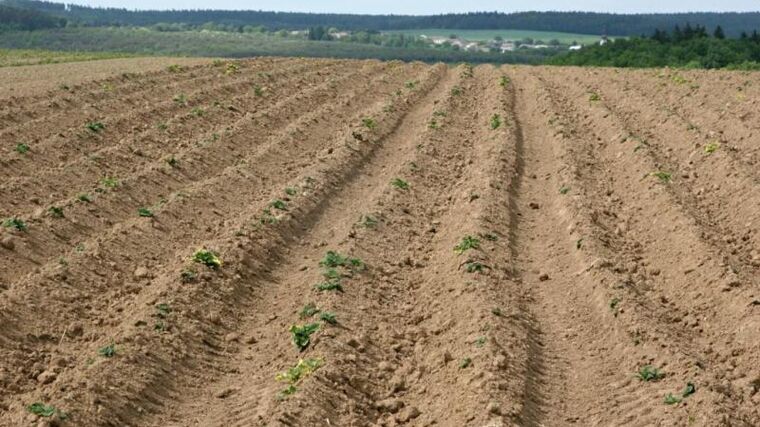 Agrofert roste, skupuje další farmy