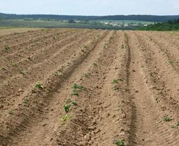 Agrofert roste, skupuje další farmy
