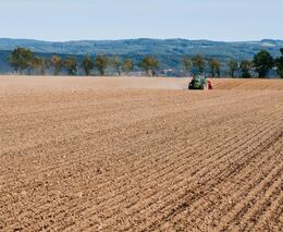 Sucho, vlny veder i mrazy, když už rostliny kvetou. To jsou změny klimatu v Česku, popisuje vědec