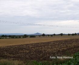 Na českém trhu je první robotický traktor bez řidiče