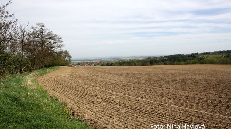 Zbyněk Kulhavý: Drenáže z polí je potřeba vykopat!