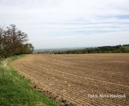 Zbyněk Kulhavý: Drenáže z polí je potřeba vykopat!