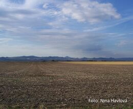 Matěj Pomahač: Lesk a bída glyfosátu
