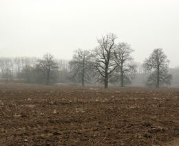 Informace o nové právní úpravě v oblasti evidence hnojiv