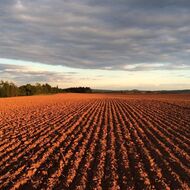 Kupka: Babišův nevyřešený střet zájmů ohrožuje čerpání evropských dotací 