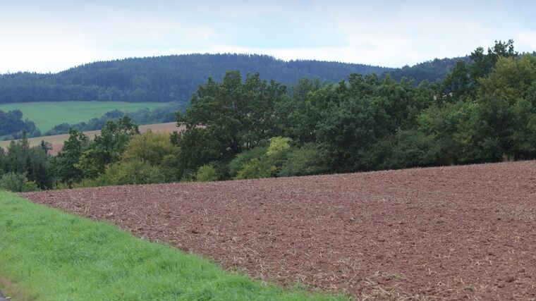 Týden v zemědělství podle Petra Havla - č. 43