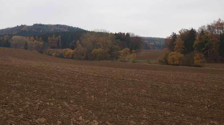 Opozice chce zavést předkupní právo zemědělců na pozemky, na nichž hospodaří 