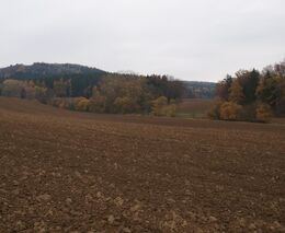 Opozice chce zavést předkupní právo zemědělců na pozemky, na nichž hospodaří