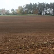 Jaroslav Šebek pro Novinky.cz: Proti předkupnímu právu na půdu budeme bojovat i u Ústavního soudu