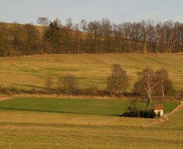 Tohle tady od kolektivizace nebylo. Stát potichu slibuje obnovu krajiny