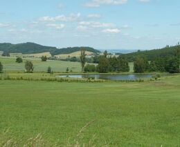 Jak dál? Kdo to ví, odpoví…