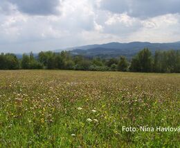 Regenerativní zemědělci mohou sdílet zkušenosti a někdy i stroje. V Česku jich pozvolna přibývá