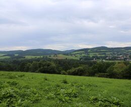 Konference: Způsoby managementu travinobylinných porostů s ohledem na zachování biodiverzity