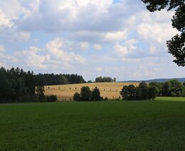 Deklarace o myslivosti na zemědělských honebních pozemcích v ČR