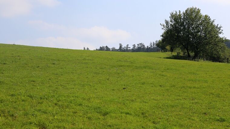 Ministerstvo životního prostředí chce vyhlásit pět nových zvláště chráněných území