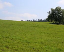 Ministerstvo životního prostředí chce vyhlásit pět nových zvláště chráněných území