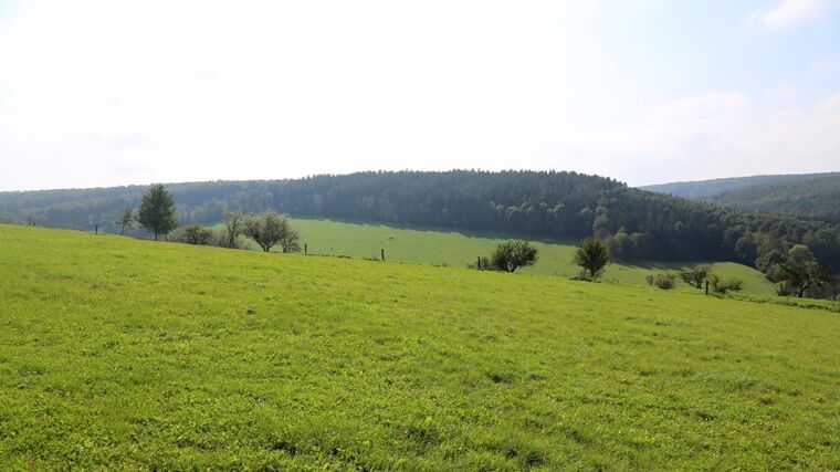 Rodinné farmy nevzdaly boj o českou krajinu - vítězní sedláci Pestrá krajina 2019
