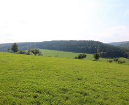 Rodinné farmy nevzdaly boj o českou krajinu - vítězní sedláci Pestrá krajina 2019