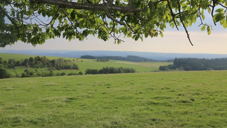 Glosa: Nepřetržitě makáme, ale moc toho nevyděláme. Ekonomika se musí změnit