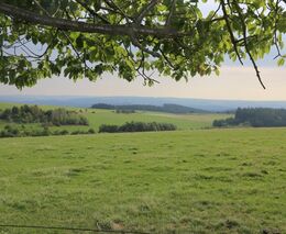 Glosa: Nepřetržitě makáme, ale moc toho nevyděláme. Ekonomika se musí změnit