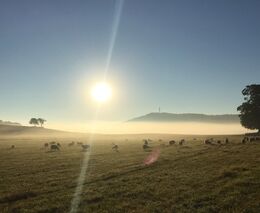 Recepty politiků na změny v zemědělství jsou mimo mísu. Na členství v EU vyděláváme