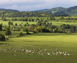 Podepsáno: sedláci a ochránci přírody budou spolupracovat